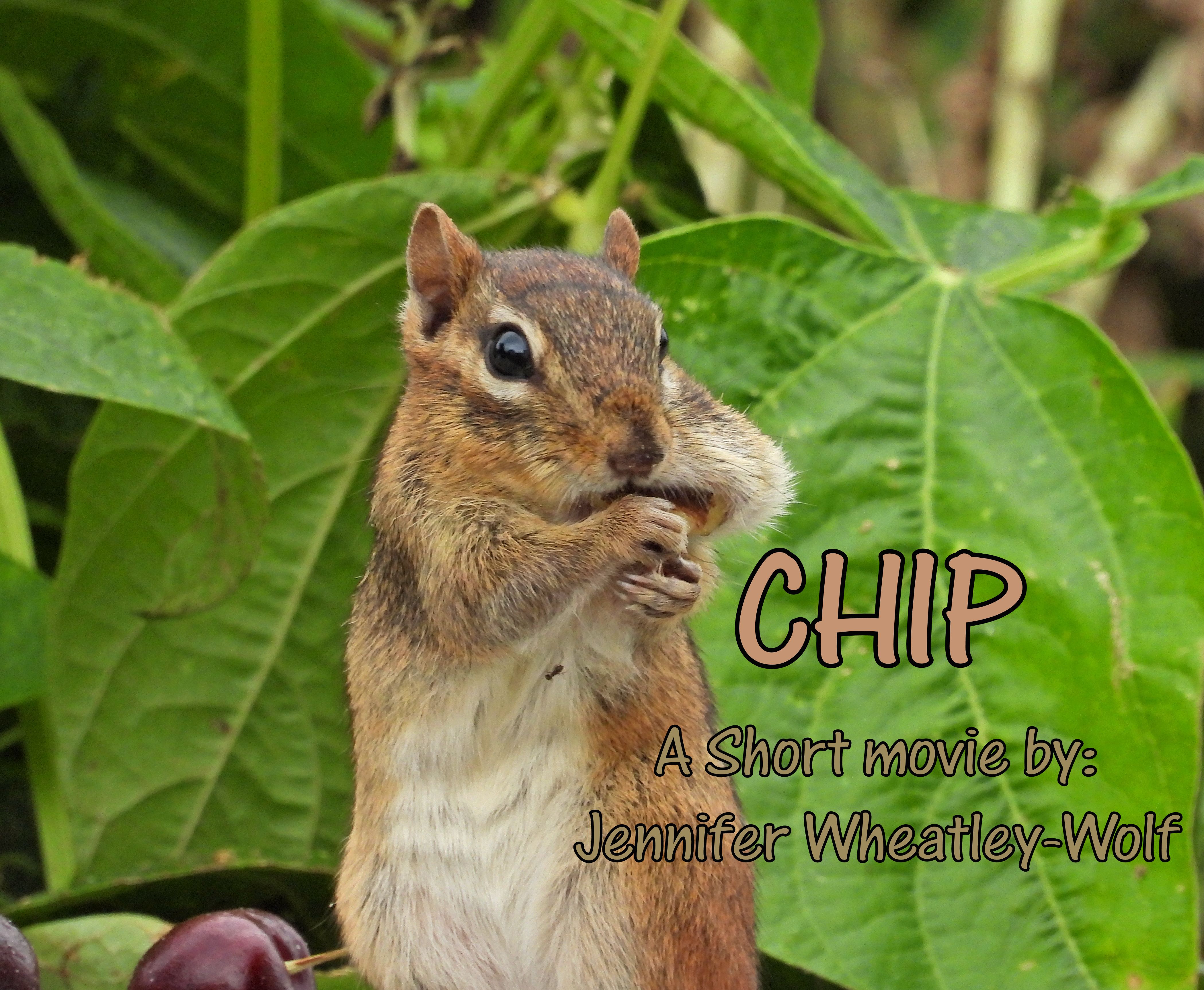 Chip-Movie-Poster-Jennifer-Wheatley-Wolf